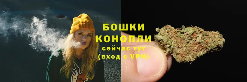 Шишки марихуана LSD WEED  Шатура 